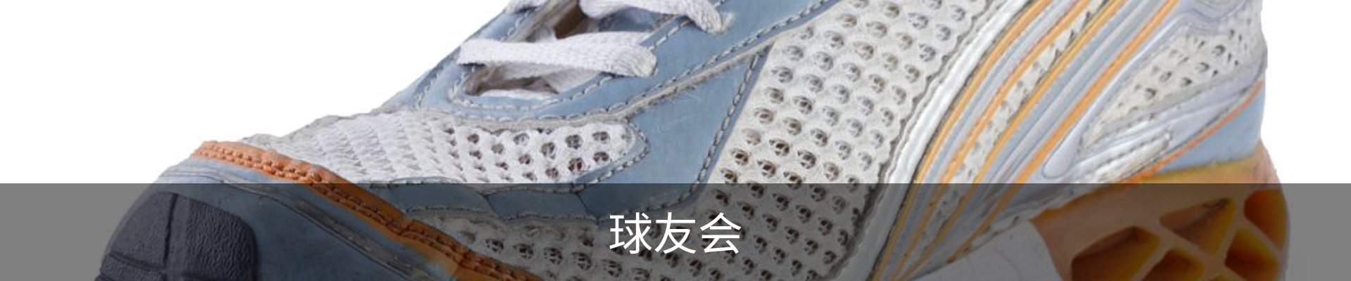 球友会